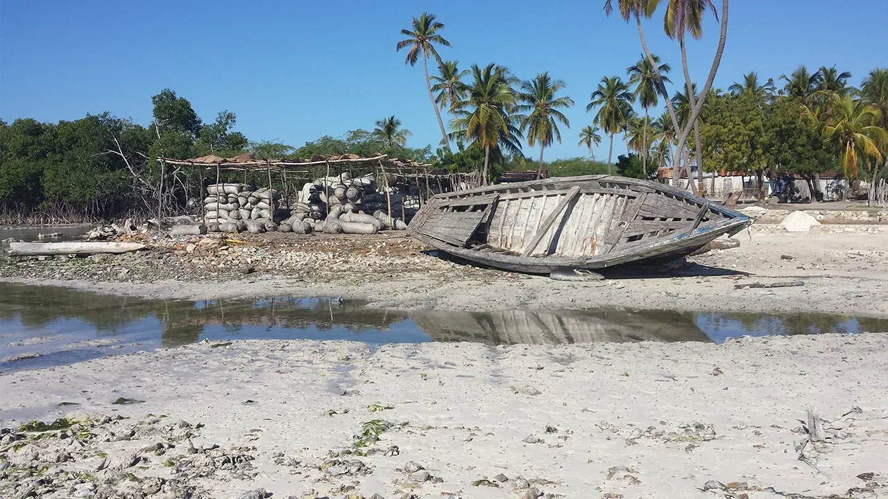 2025 Haiti Agricultural Project